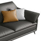 Contemporary Faux Leather Stationary Living Room Pillow Top Arm Seating