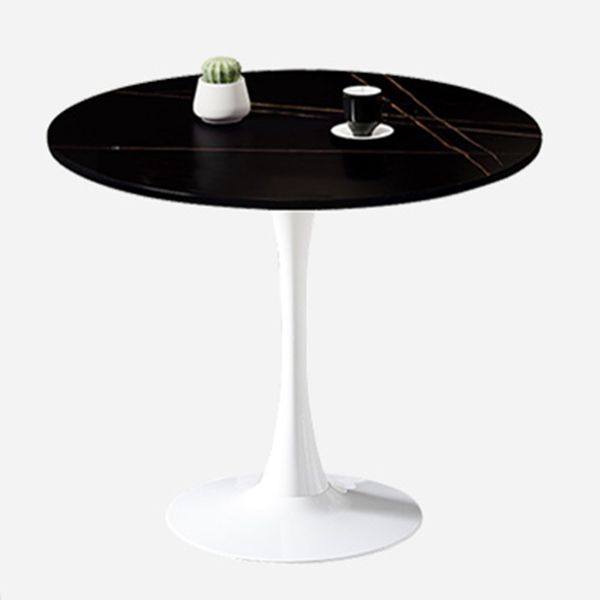 Contemporary Round Dining Table Sintered Stone Dining Table with Tulip Base for Home Kitchen Dinner Clearhalo ' dining_table' 'Dining Tables & Seating' 'Dining Tables' 'furn' 'furn_dining_table' 'Furniture' 'furniture_dining_table' 'Kitchen & Dining Furniture' 'kitchen&dining_furn' 'kitchen' 'kitchen_dining_table' 1200x1200_9aca8765-5108-43c5-b6c0-808f6983d4ca