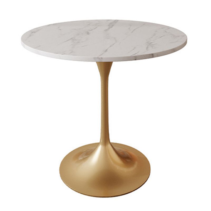 Metal Contemporary Round Dining Table Sintered Stone Table for Dining Room Clearhalo ' dining_table' 'Dining Tables & Seating' 'Dining Tables' 'furn' 'furn_dining_table' 'Furniture' 'furniture_dining_table' 'Kitchen & Dining Furniture' 'kitchen&dining_furn' 'kitchen' 'kitchen_dining_table' 1200x1200_9acba055-888c-4f3f-8f19-100463342adb