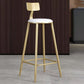 Glam Velvet Low Back Bar Stool Matte Finish Footrest Home Stool Clearhalo 'Bar Furniture' 'Bar Stools' 'bar_stools' 'furn' 'furn_bar_stools' 'Furniture' 'furniture_bar_stools' 'Kitchen & Dining Furniture' 1200x1200_9ad49dae-305b-4fe6-a3a5-d8550b4504a5