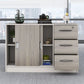 Modern Locking File Cabinet Wood File Cabinet with Storage Shelves Clearhalo 'Filing Cabinets' 'filling_cabinets' 'furn' 'furn_filling_cabinets' 'Furniture' 'Office Furniture' 1200x1200_9ae53bed-b91c-462f-88d6-df9e15351a05
