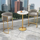 Upholstered Dining Stools Low Back Bar Stools with Metal Base Clearhalo 'Bar Furniture' 'Bar Stools' 'bar_stools' 'furn' 'furn_bar_stools' 'Furniture' 'Kitchen & Dining Furniture' 1200x1200_9b15feec-9c8e-4624-86d2-b8f17585b152