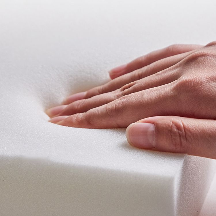 Scandinavian Style Metal Chair Dining Room Parsons Back Chairs (Set of 2) Clearhalo ' kitchen&dining_furn' 'Dining Chairs' 'Dining Tables & Seating' 'dining_chair' 'furn' 'furn_dining_chair' 'Furniture' 'furniture_dining_chair' 'Kitchen & Dining Furniture' 'kitchen' 1200x1200_9bc248c1-4e10-4fa0-acc9-27e6611cfac1