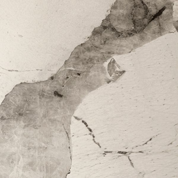 Irregular Shaped Office Conference Table Stone Writing Desk in Gold Clearhalo 'furn' 'furn_office_desk' 'Furniture' 'Office Desks' 'Office Furniture' 'office_desk' 1200x1200_9bcd69e8-d261-49b0-90b8-600da82405ba