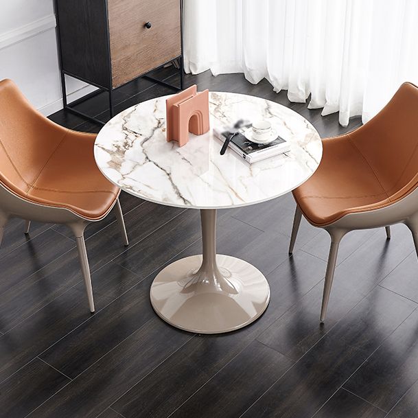 Modern Style Sintered Stone Dining Table White Round Tulip Base Dining Table Clearhalo ' dining_table' 'Dining Tables & Seating' 'Dining Tables' 'furn' 'furn_dining_table' 'Furniture' 'furniture_dining_table' 'Kitchen & Dining Furniture' 'kitchen&dining_furn' 'kitchen' 'kitchen_dining_table' 1200x1200_9bf1f28a-396d-4bad-b5bd-f39db650f1fd