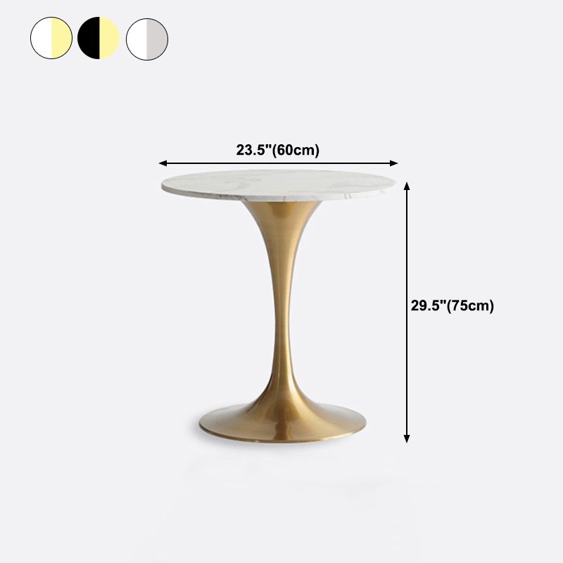 Metal Modern Round Dining Table Marble Top Indoor Table with Tulip Base Clearhalo ' dining_table' 'Dining Tables & Seating' 'Dining Tables' 'furn' 'furn_dining_table' 'Furniture' 'furniture_dining_table' 'Kitchen & Dining Furniture' 'kitchen&dining_furn' 'kitchen' 'kitchen_dining_table' 1200x1200_9c56dbb1-ea3c-4a74-93bc-15e4ae93970a