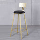 Glam Armless Backrest Counter Stool Iron Kitchen Bar Stool with Leather Cushion and Pedal Clearhalo 'Bar Furniture' 'Bar Stools' 'bar_stools' 'furn' 'furn_bar_stools' 'Furniture' 'furniture_bar_stools' 'Kitchen & Dining Furniture' 1200x1200_9cacccef-5a15-4c77-a318-0388779e975a