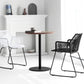 Contemporary Plastic Barstool Armed Stool with Steel Black Frame