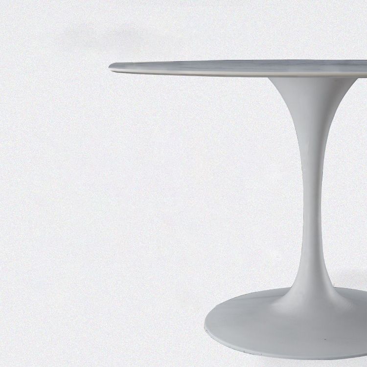 Minimalist Sintered Stone Dining Table Round Shape Kitchen Dining Table with Tulip Base Clearhalo ' dining_table' 'Dining Tables & Seating' 'Dining Tables' 'furn' 'furn_dining_table' 'Furniture' 'furniture_dining_table' 'Kitchen & Dining Furniture' 'kitchen&dining_furn' 'kitchen' 'kitchen_dining_table' 1200x1200_9ceac0ea-3a15-4a80-9b32-227afa549ecf