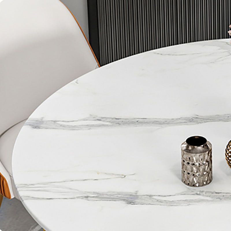 Glam Sintered Stone Dining Table Round Dining Table with Pedestal Base Clearhalo 'Dining Tables & Seating' 'Dining Tables' 'dining_table' 'furn' 'furn_dining_table' 'Furniture' 'furniture_dining_table' 'Kitchen & Dining Furniture' 'kitchen' 'kitchen_dining_table' 1200x1200_9d76e3a9-1ec3-4daa-94bf-b464a4c388a7