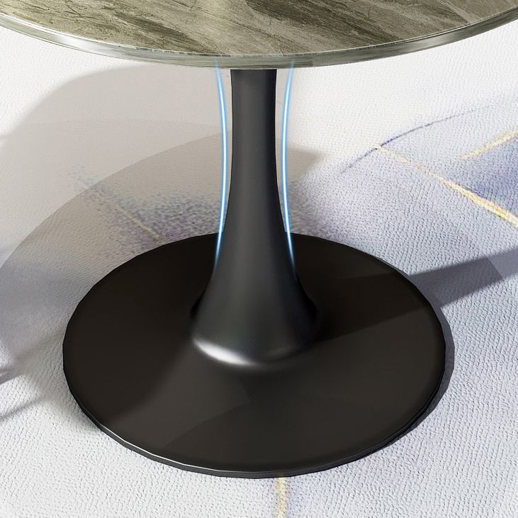 Modern Style Round Dining Table Sintered Stone Table with Tulip Base for Home Clearhalo ' dining_table' 'Dining Tables & Seating' 'Dining Tables' 'furn' 'furn_dining_table' 'Furniture' 'furniture_dining_table' 'Kitchen & Dining Furniture' 'kitchen&dining_furn' 'kitchen' 'kitchen_dining_table' 1200x1200_9da2397b-d65b-4fc8-a4ba-a635e4e8c6a9