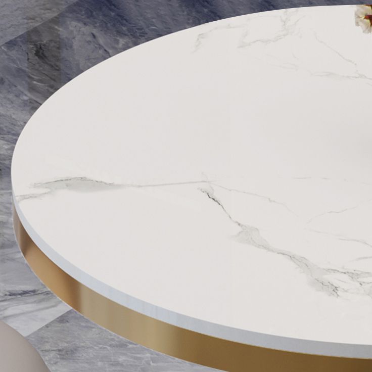 Traditional Luxury Round Dining Table Sintered Stone Dining Table with Pedestal Base Clearhalo ' dining_table' 'Dining Tables & Seating' 'Dining Tables' 'furn' 'furn_dining_table' 'Furniture' 'furniture_dining_table' 'Kitchen & Dining Furniture' 'kitchen&dining_furn' 'kitchen' 'kitchen_dining_table' 1200x1200_9dc63ce7-fca9-48a6-8870-620e950c89b8