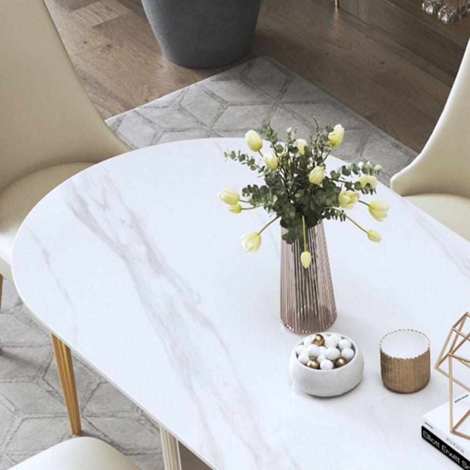 Traditional Luxury Oval Dining Table Sintered Stone Table with Double Pedestal Base Clearhalo ' dining_table' 'Dining Tables & Seating' 'Dining Tables' 'furn' 'furn_dining_table' 'Furniture' 'furniture_dining_table' 'Kitchen & Dining Furniture' 'kitchen&dining_furn' 'kitchen' 'kitchen_dining_table' 1200x1200_9dd8d3e7-7221-4d5b-821b-7fb90ea759f9
