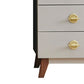 Contemporary Vertical Chest Bedroom Storage Chest in White with Drawers