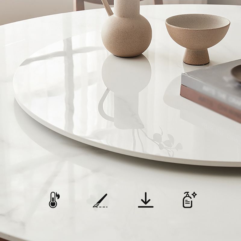 Modern Dining Round Table Dining Sintered Stone Table for Restaurant with Wood Legs Clearhalo 'Dining Tables & Seating' 'Dining Tables' 'dining_table' 'furn' 'furn_dining_table' 'Furniture' 'furniture_dining_table' 'Kitchen & Dining Furniture' 'kitchen' 'kitchen_dining_table' 1200x1200_9f835ec6-31dd-4670-a459-6729503f56d9