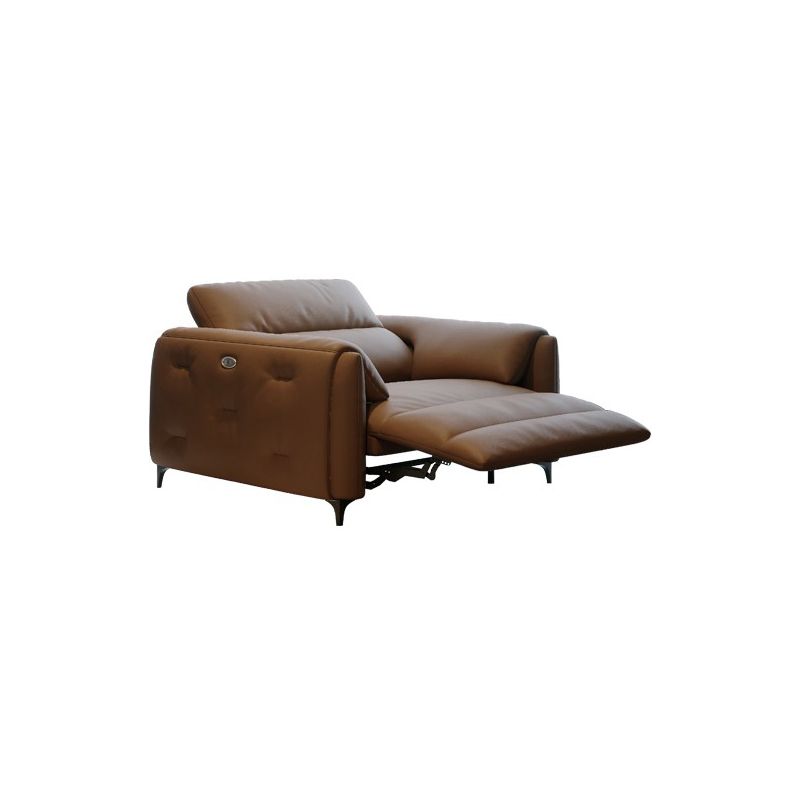 本革の枕のトップアームパワー - リビングルームにモダンなソファを押してください