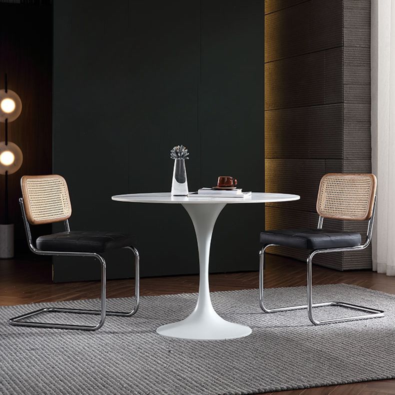 Stone Top Dining Table Modern Round Dining Table with Pedestal Base Clearhalo 'Dining Tables & Seating' 'Dining Tables' 'dining_table' 'furn' 'furn_dining_table' 'Furniture' 'furniture_dining_table' 'Kitchen & Dining Furniture' 'kitchen' 'kitchen_dining_table' 1200x1200_a02fdd94-31bc-4a10-bd2e-99e6d6573928