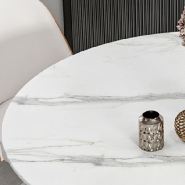 Glam Stone Round Dining Table with Pedestal Table for Dining Room
