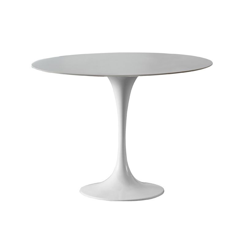 Modern Tulip Pedestal White Dining Table Stone Table for Kitchen Clearhalo 'Dining Tables & Seating' 'Dining Tables' 'dining_table' 'furn' 'furn_dining_table' 'Furniture' 'Kitchen & Dining Furniture' 1200x1200_a0520588-d8b2-4316-bb3c-0300e8b27715
