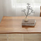 Modern Brown in Wood Table Specialty Dining Table for Kitchen