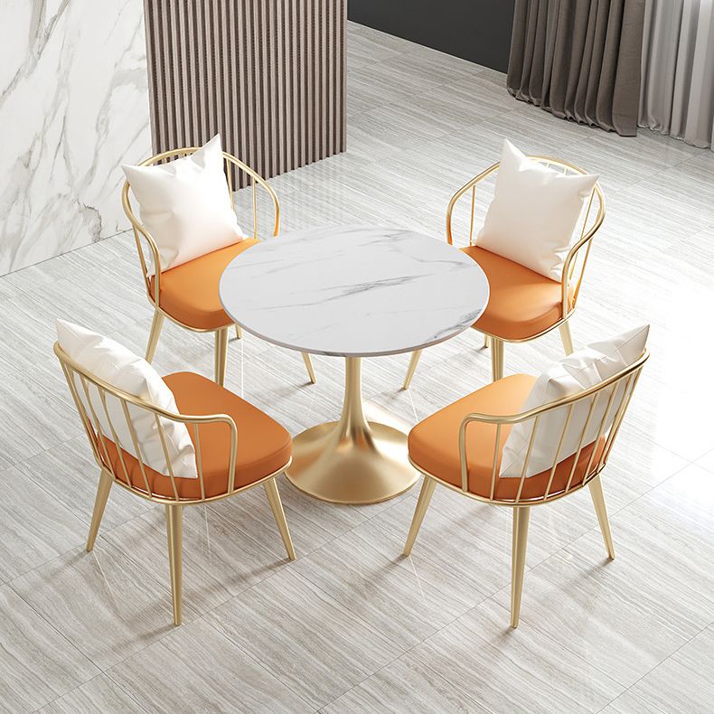 Glam Sintered Stone Dining Room Set with Gold Leg Dining Furniture for Home Use Clearhalo 'Dining Room Sets' 'Dining Tables & Seating' 'dining_room_set' 'furn' 'furn_dining_room_set' 'Furniture' 'furniture_dining_room_set' 'Kitchen & Dining Furniture' 'kitchen&dining_furn' 'kitchen' 1200x1200_a08da4d0-962a-4795-ac34-5eb66372bd92