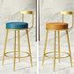 Glam Armless Backrest Counter Stoo Iron Bar Stool with Cushion and Pedal for Kitchen