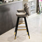 Modern Armless Backrest Counter Stool Iron Study Bar Stool with Cushion and Pedal Clearhalo 'Bar Furniture' 'Bar Stools' 'bar_stools' 'furn' 'furn_bar_stools' 'Furniture' 'furniture_bar_stools' 'Kitchen & Dining Furniture' 1200x1200_a0fbe960-ab38-40a0-bf96-ffe3b072ea02