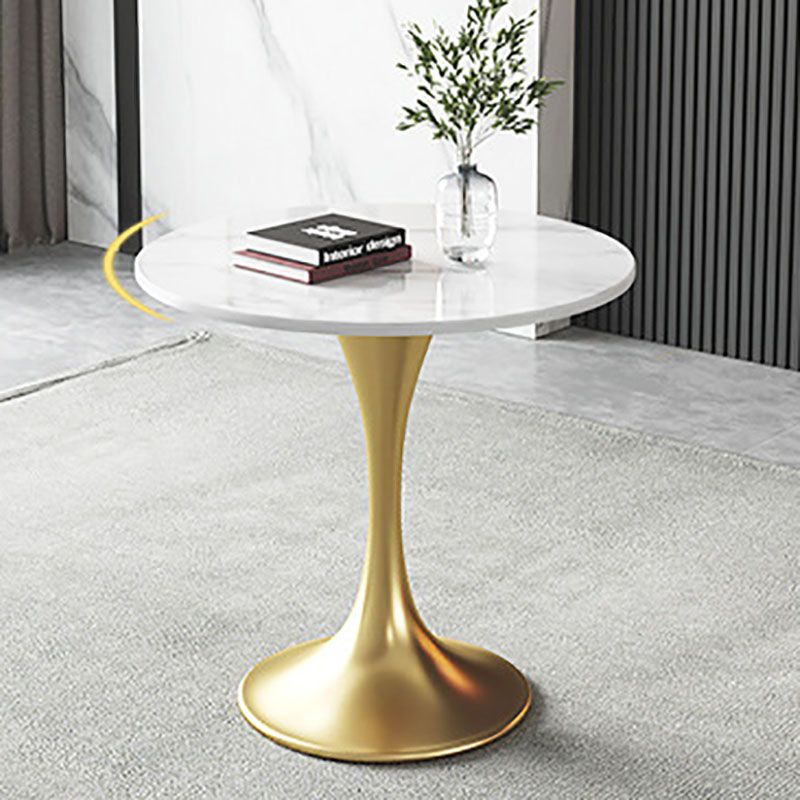 Metal Traditional Luxury Round Table for Home Sintered Stone Table with Tulip Clearhalo 'Dining Tables & Seating' 'Dining Tables' 'dining_table' 'furn' 'furn_dining_table' 'Furniture' 'Kitchen & Dining Furniture' 1200x1200_a19a51b3-aa88-4c61-acf4-6208d7502828