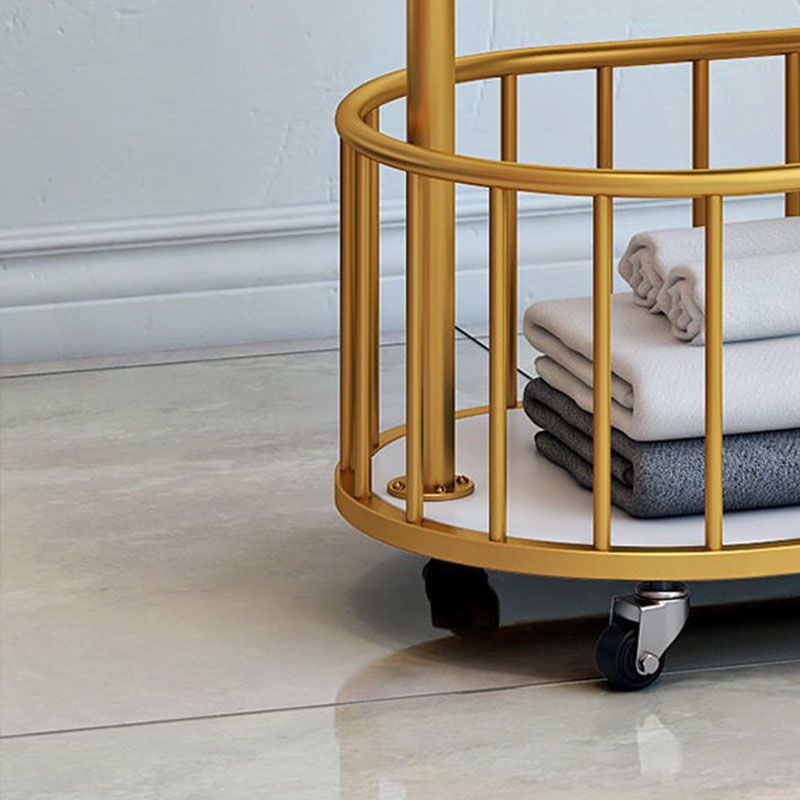 Metal Coat Hanger Modern Style Simple Household Floor Hall Stand with Pulley Clearhalo 'Entry & Mudroom Furniture' 'furn' 'furn_hall_tree_coat_racks' 'Furniture' 'Hall Trees & Coat Racks' 'hall_tree_coat_racks' 1200x1200_a1aa9b9b-bafa-4d1b-b0e0-f29e782b28e7