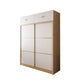 Modern Artificial Wood Wardrobe Freestanding Wardrobe with Sliding Doors