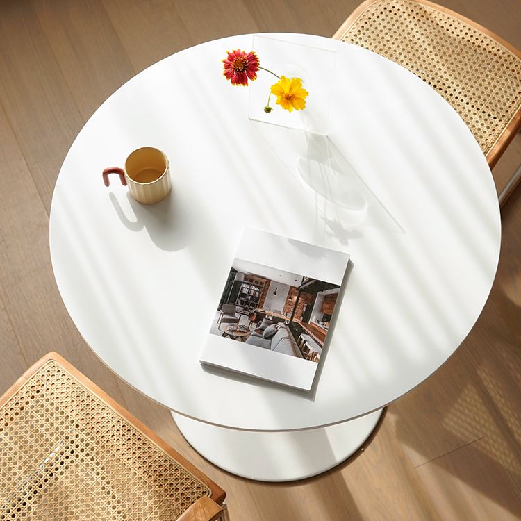 White Modern Round Stone Tabletop Dining Table with Tulip Base Clearhalo 'Dining Tables & Seating' 'Dining Tables' 'dining_table' 'furn' 'furn_dining_table' 'Furniture' 'Kitchen & Dining Furniture' 1200x1200_a20ebf8a-0e59-4909-86f0-8d4436f08d98