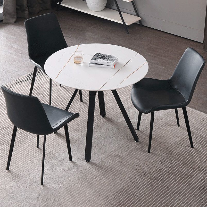 Modern Style Sintered Stone Dining Room Table Round Table with Metal Base Clearhalo ' dining_table' 'Dining Tables & Seating' 'Dining Tables' 'furn' 'furn_dining_table' 'Furniture' 'furniture_dining_table' 'Kitchen & Dining Furniture' 'kitchen&dining_furn' 'kitchen' 'kitchen_dining_table' 1200x1200_a247ca27-fae7-48f3-92b1-d047cee314a5