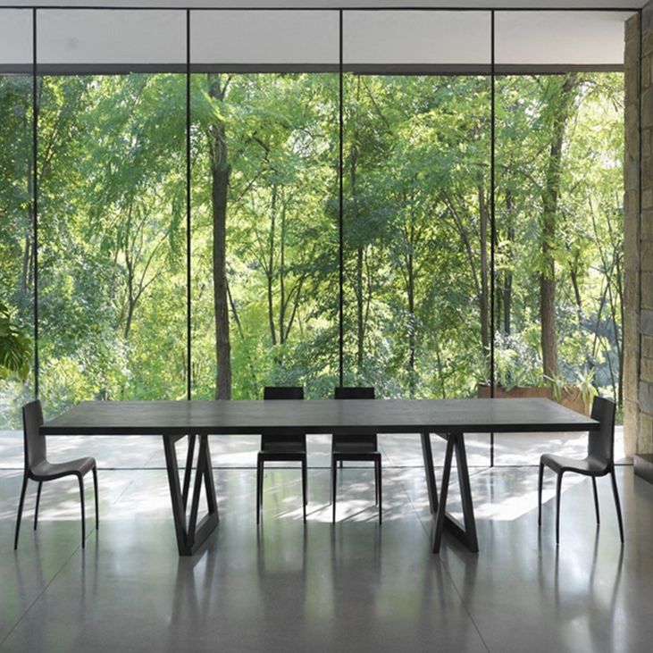 Rectangle Pine Wood Dining Table Industrial Black Table with Double Pedestal Clearhalo ' dining_table' 'Dining Tables & Seating' 'Dining Tables' 'furn' 'furn_dining_table' 'Furniture' 'furniture_dining_table' 'Kitchen & Dining Furniture' 'kitchen&dining_furn' 'kitchen' 'kitchen_dining_table' 1200x1200_a2b53baa-bd20-4d91-9b6b-98a2d48d8fd6