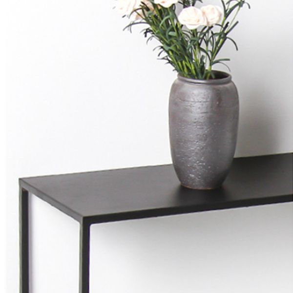Iron Rectangle Console Table 1-shelf 29.53" Tall Accent Table for Hall Clearhalo 'Console Tables' 'console_tables' 'Entry & Mudroom Furniture' 'furn' 'furn_console_tables' 'Furniture' 1200x1200_a3157ca1-0b27-4d97-911c-2abcb0599bde