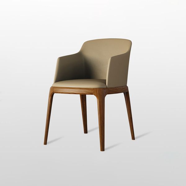 Contemporary Style Wooden Dining Chairs Dining Arm Side Chairs for Kitchen (Set of 2) Clearhalo ' kitchen&dining_furn' 'Dining Chairs' 'Dining Tables & Seating' 'dining_chair' 'furn' 'furn_dining_chair' 'Furniture' 'furniture_dining_chair' 'Kitchen & Dining Furniture' 'kitchen' 1200x1200_a35f5a61-e1fd-4f75-a769-c6ff8d213c1e