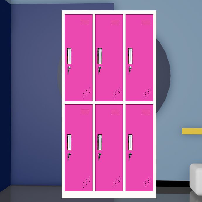 Matte Finish Cabinet with Metal Door Modern Hinged Door Wardrobe