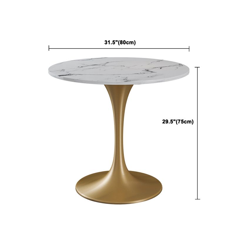 Glam Style Sintered Stone Dining Set Round 1/4/5 Pieces Dining Table Set for Home Use