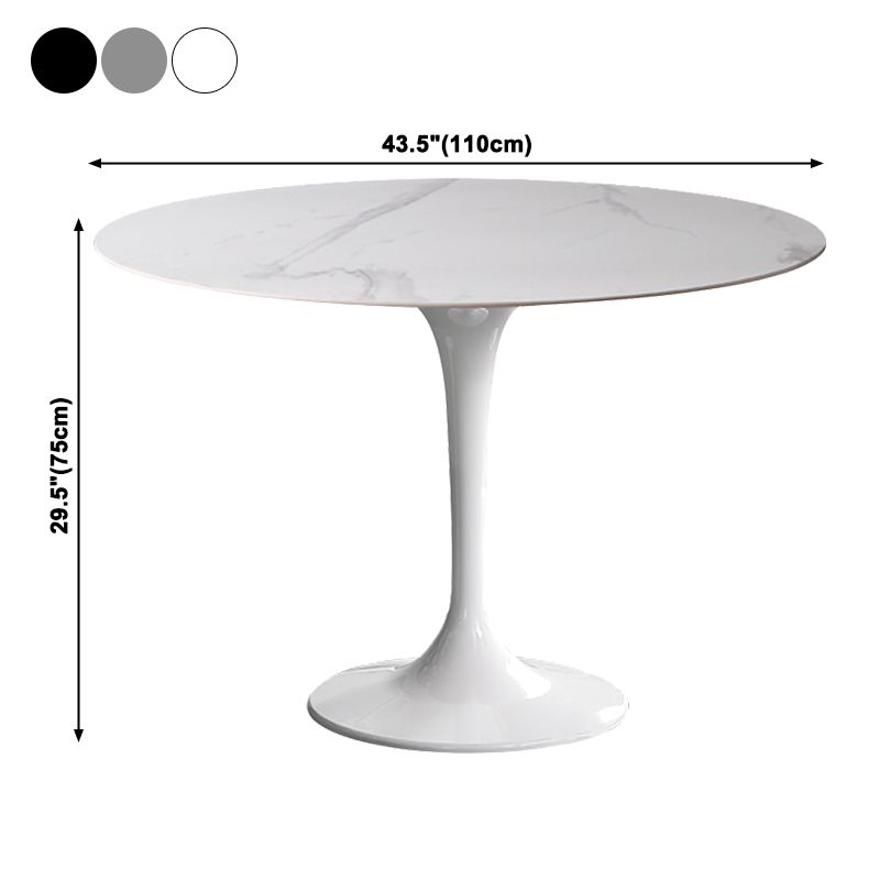 Simplicity Round Dining Table Sintered Stone Table with Tulip Base for Dining Room Clearhalo ' dining_table' 'Dining Tables & Seating' 'Dining Tables' 'furn' 'furn_dining_table' 'Furniture' 'furniture_dining_table' 'Kitchen & Dining Furniture' 'kitchen&dining_furn' 'kitchen' 'kitchen_dining_table' 1200x1200_a4c53a46-b21b-4e98-831f-ad7c4671be85
