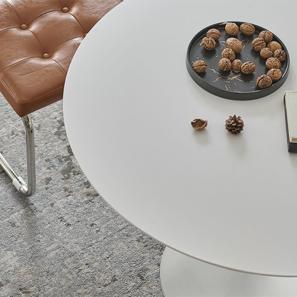 Modern Tulip Pedestal White Dining Table Stone Table for Kitchen Clearhalo 'Dining Tables & Seating' 'Dining Tables' 'dining_table' 'furn' 'furn_dining_table' 'Furniture' 'Kitchen & Dining Furniture' 1200x1200_a4f6222d-5755-4e4a-a6b1-ad6c25329ea2