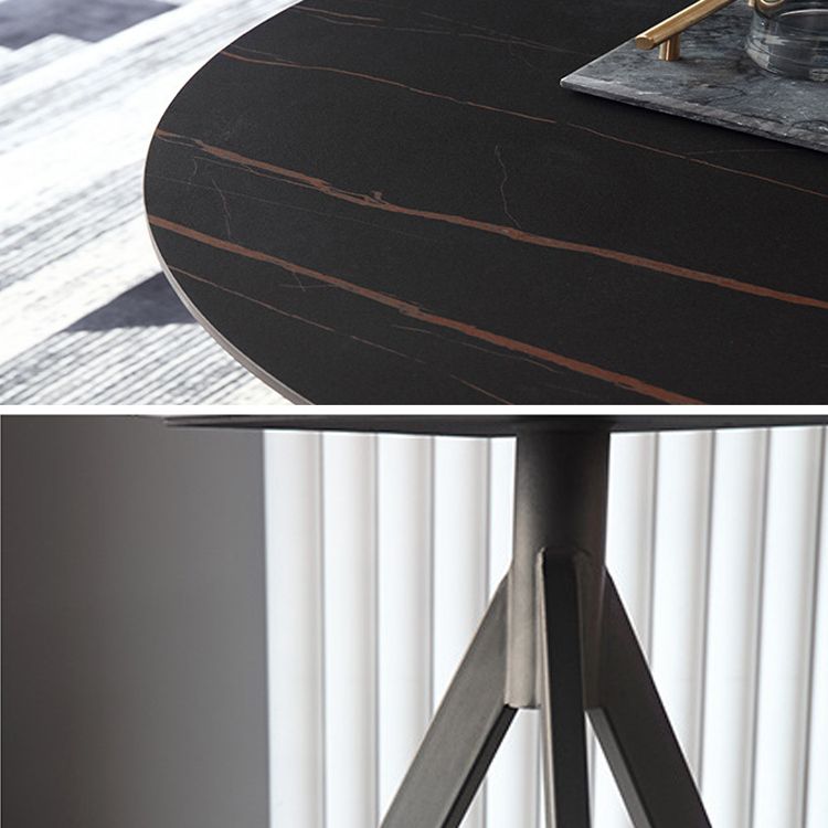 Modern Style Sintered Stone Dining Table Round Dinner Table with Pedestal Base Clearhalo ' dining_table' 'Dining Tables & Seating' 'Dining Tables' 'furn' 'furn_dining_table' 'Furniture' 'furniture_dining_table' 'Kitchen & Dining Furniture' 'kitchen&dining_furn' 'kitchen' 'kitchen_dining_table' 1200x1200_a53a1fdc-ba40-4bce-9b12-61f204e9e141