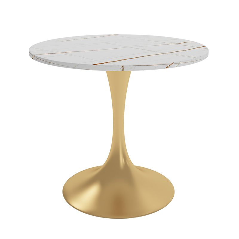 Round Luxury Style Dining Table White Tone Fixed Table with Sintered Stone Clearhalo ' dining_table' 'Dining Tables & Seating' 'Dining Tables' 'furn' 'furn_dining_table' 'Furniture' 'furniture_dining_table' 'Kitchen & Dining Furniture' 'kitchen&dining_furn' 'kitchen' 'kitchen_dining_table' 1200x1200_a54a182e-dc57-42cb-a202-442fe3e3877a