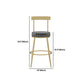 Glam Round Counter Height Stools Grey and Gold Footrest Upholstered Counter Bar Stool Clearhalo 'Bar Furniture' 'Bar Stools' 'bar_stools' 'furn' 'furn_bar_stools' 'Furniture' 'Kitchen & Dining Furniture' 1200x1200_a5b22a8f-5160-41cc-a049-725bfd6ffd64