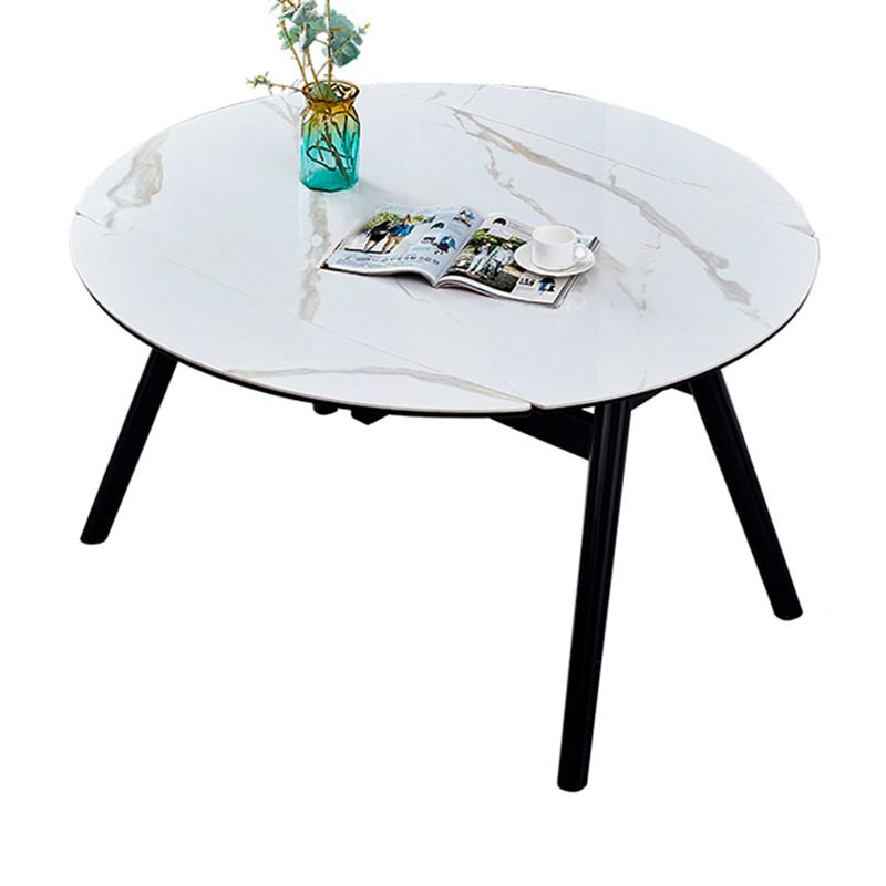Modern Style Sintered Stone Dining Table Round Table with 4 Legs for Home Clearhalo ' dining_table' 'Dining Tables & Seating' 'Dining Tables' 'furn' 'furn_dining_table' 'Furniture' 'furniture_dining_table' 'Kitchen & Dining Furniture' 'kitchen&dining_furn' 'kitchen' 'kitchen_dining_table' 1200x1200_a5fbd96f-86fe-4cf8-8eb5-665145a8375d