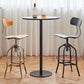 Industrial Metal Bar Stools Swivel Adjustable Height Bar Stool with Footrest Clearhalo 'Bar Furniture' 'Bar Stools' 'bar_stools' 'furn' 'furn_bar_stools' 'Furniture' 'Kitchen & Dining Furniture' 1200x1200_a6205757-391d-4636-8e2f-02834af7aa5f
