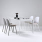16'' Wide Dining Side Chairs Modern Plastic Indoor-Outdoor Solid Back Chair Clearhalo ' kitchen&dining_furn' 'Dining Chairs' 'Dining Tables & Seating' 'dining_chair' 'furn' 'furn_dining_chair' 'Furniture' 'furniture_dining_chair' 'Kitchen & Dining Furniture' 'kitchen' 1200x1200_a65dfe8e-6777-4e4f-a884-9e8c6e08ec09