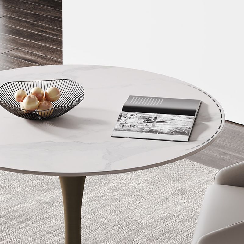 Glam Round Dining Set 1/2/3 Pcs Sintered Stone Dining Table with Armless Chairs Clearhalo 'Dining Room Sets' 'Dining Tables & Seating' 'dining_room_set' 'furn' 'furn_dining_room_set' 'Furniture' 'Kitchen & Dining Furniture' 1200x1200_a6884a94-2ee0-463b-b779-88fef85c4d77