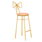 Glam Armless Backrest Counter Stool Iron Dessert Shop Bar Stool with Cushion and Pedal Clearhalo 'Bar Furniture' 'Bar Stools' 'bar_stools' 'furn' 'furn_bar_stools' 'Furniture' 'furniture_bar_stools' 'Kitchen & Dining Furniture' 1200x1200_a68cb8f0-5fe1-4ab8-b1d4-2690ed5c183a
