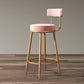 Nordic Backrest Armless Counter Stool Iron Bar Stool with Footrest and Cushion