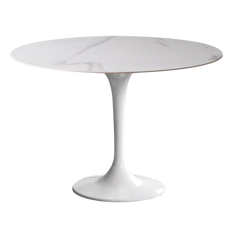 Simplicity Round Dining Table Sintered Stone Table with Tulip Base for Dining Room Clearhalo ' dining_table' 'Dining Tables & Seating' 'Dining Tables' 'furn' 'furn_dining_table' 'Furniture' 'furniture_dining_table' 'Kitchen & Dining Furniture' 'kitchen&dining_furn' 'kitchen' 'kitchen_dining_table' 1200x1200_a6f0588f-3c0b-463a-913c-ba2dd8e19ba8