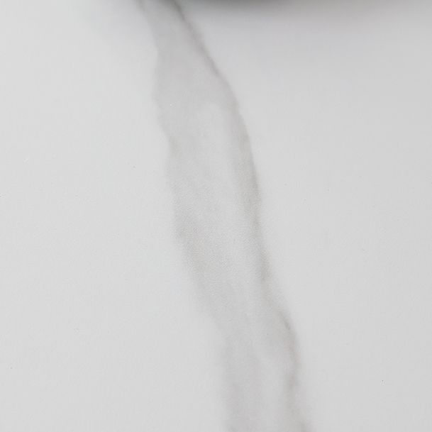 Solid Wood Mid-Century Modern Table White Sintered Stone Table with 4 Legs Clearhalo ' dining_table' 'Dining Tables & Seating' 'Dining Tables' 'furn' 'furn_dining_table' 'Furniture' 'furniture_dining_table' 'Kitchen & Dining Furniture' 'kitchen&dining_furn' 'kitchen' 'kitchen_dining_table' 1200x1200_a7ce6b71-f068-4bc5-ba49-43a822337281